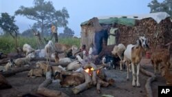 Tasmin, a mother of six, stands with her children outside her house in Yida camp, South Sudan, Sunday, Sept. 16, 2012. Yida refugee camp is home to thousands of people who have fled recent fighting in Sudan's Southern Kordofan state and around the border 