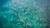 FILE - Tourists snorkel above bleached and dead coral around Lizard Island on the Great Barrier Reef, located 270 kilometers (167 miles) north of the city of Cairns, Australia, on April 5, 2024.