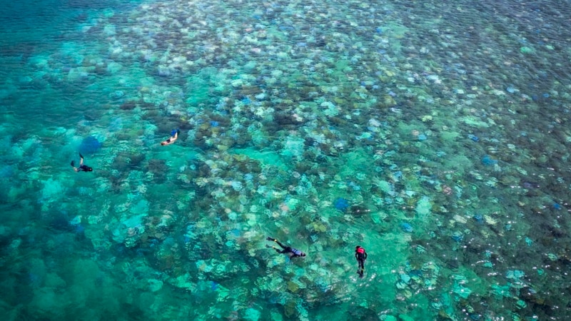 Hottest oceans in 400 years endanger Great Barrier Reef, scientists say