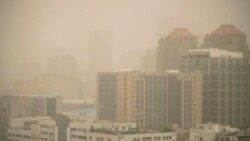 La contaminación ambiental obliga a muchos cambiar de residencia en beneficio de su salud