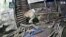Leopard Gives Birth to Four Cubs in Indian Farmer's Hut 