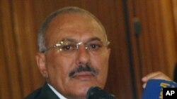 Yemen's President Ali Abdullah Saleh speaks to the press in the capital Sanaa on May 22, 2011.