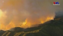 California’daki Yangın Eyalet Tarihinin En Büyüğü