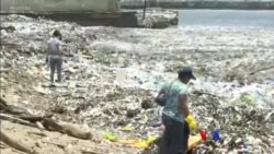 အင်ဒိုနီးရှား ပလပ်စတစ်ပြဿနာ ရေညှိတွေ နဲ့ ရှင်း