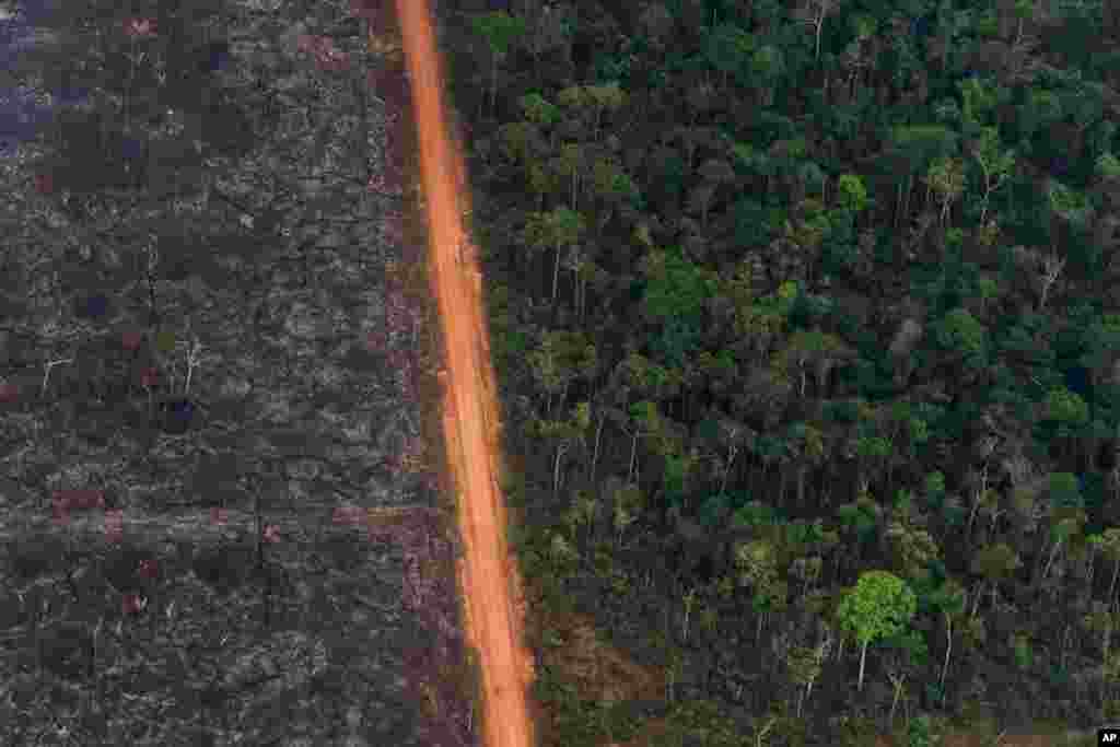 A lush forest sits next to a field of charred trees in Vila Nova Samuel, Brazil, Aug. 27, 2019.