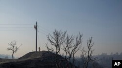 Un árbol quemado se ve en el poblado de Asklipio, en la isla griega de Rodas, en el sureste de Grecia, el 26 de julio de 2023. Grecia sufre su tercera ola de calor seguida y ha ordenado más evacuaciones por los incendios que llevan días ardiendo sin control. 