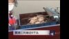 黄浦江中发现死猪已近6千头