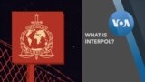 Explainer INTERPOL