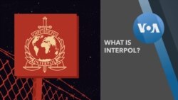 Explainer INTERPOL