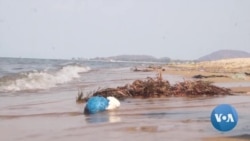 Plastic Pollution Continues in Lake Malawi Despite Ban