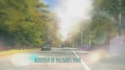 بي بي شیرینه – وي او اې ډيوه په ټیلې ویژن