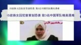 媒体观察：网友：感谢约旦为被ISIS炸死的三名中国军官报仇