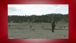 د ډیوه د روانو چارو خپرونه په ټي وي
