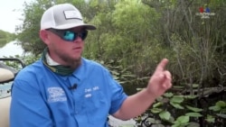 Կյանքը Էվերգլեյդսում