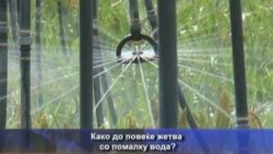 По сушата во Тексас