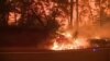 加州官員警告 到9月才能遏制史上最大山火