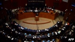 Mexican Foreign Minister Luis Videgaray (C) delivers a speech on relations with the United States in the Mexican Senate, Feb. 28, 2017, in Mexico City.