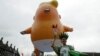 Trump Baby Blimp Flies in London as Protests Greet President