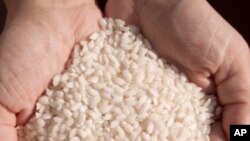 Cost of Rice Expected to Rise