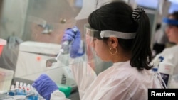 지난 4월 미국 뉴욕에서 연구원이 신종 코로나바이러스 샘플을 이용해 백신 연구를 하고 있다.