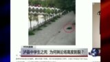 VOA连线：泸县中学生之死，为何舆论场高度割裂？