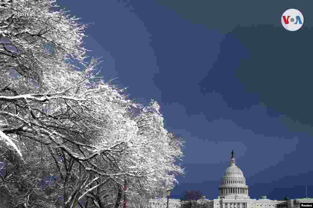 La primera tormenta de nieve de la región podría arrojar de cuatro a ocho pulgadas de nieve y generar vientos de 40 millas por hora, con advertencias de clima severo que se extienden desde las Carolinas hasta Nueva Jersey.