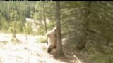 Вести од САД во минута