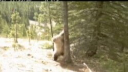 Вести од САД во минута