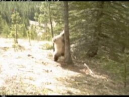 Вести од САД во минута