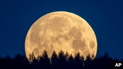 The full moon sets behind trees in the Taunus region near Frankfurt, Germany.