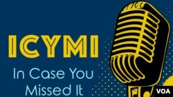 Praktisi Hukum Keturunan Indonesia di AS: Bagaimana Nasib Imigran Gelap di Amerika?