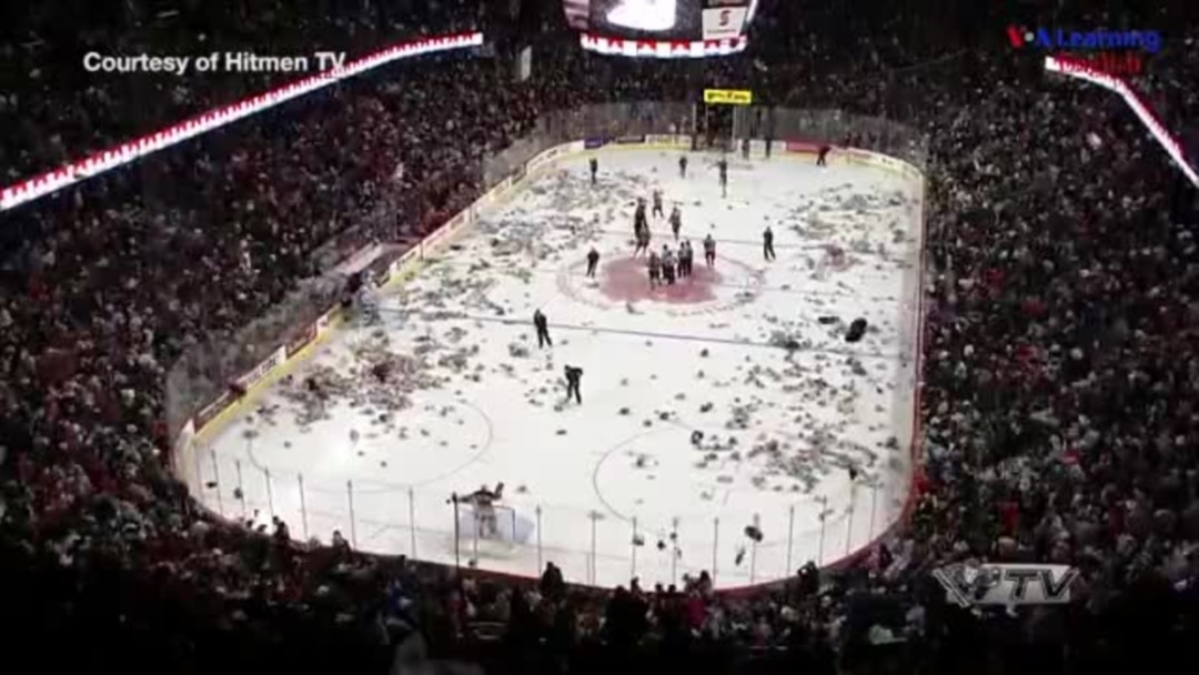 teddy bears thrown on ice