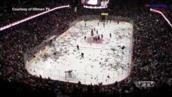 Teddy Bear Toss, a Holiday Tradition in Canada