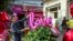 A balloon spelling out "LOVE" is added to a plant at an Egyptian flower shop. (H. Elrasam/VOA)