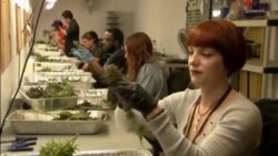 Legalizirana marihuana u saveznoj državi Arkansas