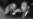 Factbox: Who Was Martin Luther King Jr?