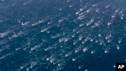 A view of the sail boats taking part in the 53rd edition of the traditional &quot;Barcolana&quot; regatta in the gulf of Trieste, north-eastern Italy.