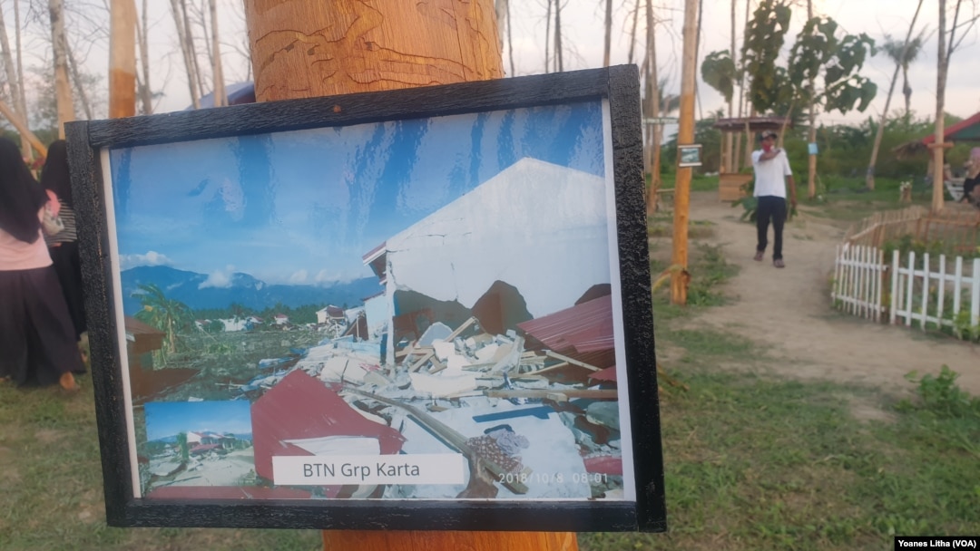 Foto dari dampak bencana gempa bumi 2018 silam yang dipajang pada batang-batang pohon jati yang telah mengering di Taman Likuefaksi desa Lolu, Sigi. Minggu (25/10/2020) Foto : Yoanes Litha