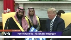 Vente d'armes à l'Arabie Saoudite : le sénat s'implique