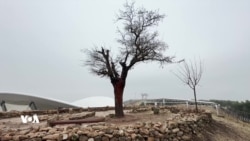 Girê Mirazan Dîroka Kevin ya Mirovahîyê Nîşan Dide