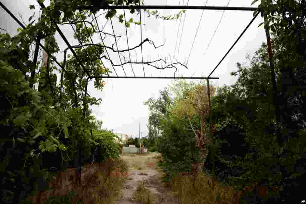 Ergeneti village on the border with South Ossetia. (Yuli Weeks for VOA)