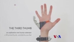 ရေမျောဆင်၊ ငါးမန်းနဲ့ရေကူးပြိုင်သူ