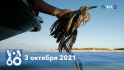 Новости США за минуту: Нефть у берегов Калифорнии