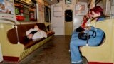 Рік покращення через об'єктив Андрія Недзельницького 