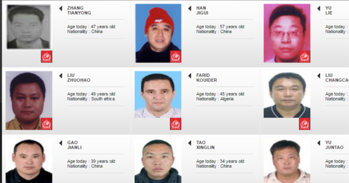 信】中国組織別人名簿 1981年/1982年 CHINA DIRECTORY 中国組織別人