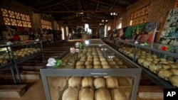 FILE - Skulls of victims of the 1994 genocide are kept inside the Catholic church in Ntarama, Rwanda, April 5, 2019. Aloys Ntiwiragabo, Rwandan ex-spy chief living in France, denies allegations that he was involved in genocide.