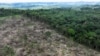 FILE - An aerial view shows a deforested area during an operation to combat deforestation near Uruara, Para State, Brazil January 21, 2023.