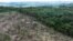 FILE - An aerial view shows a deforested area during an operation to combat deforestation near Uruara, Para State, Brazil January 21, 2023.