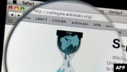 Përkrahësit e WikiLeaks zgjerojnë luftën në internet kundër Paypal e Amazon