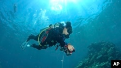 In this December 2019 photo provided by the Allen Coral Atlas, Alexandra Ordonez Alvarez, from University of Queensland, collects georeferenced data on the Great Barrier Reef's Ashmore Bank in Australia. (Chris Roelfsema/Allen Coral Atlas via AP)